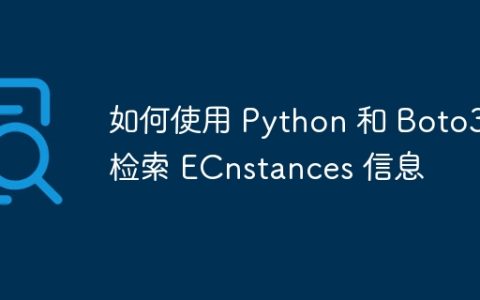 如何使用 Python 和 Boto3 检索 ECnstances 信息
