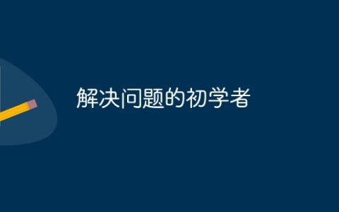 解决问题的初学者