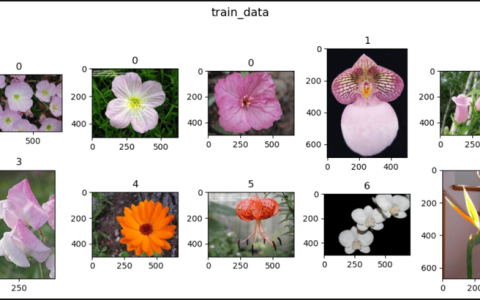 PyTorch 中的花朵