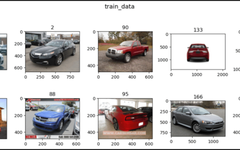PyTorch 中的斯坦福汽车