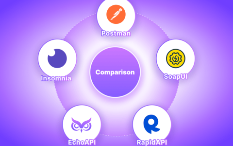 Postman vs Insomnia vs SoapUI vs Paw vs EchoAPI：API测试工具的全面比较
