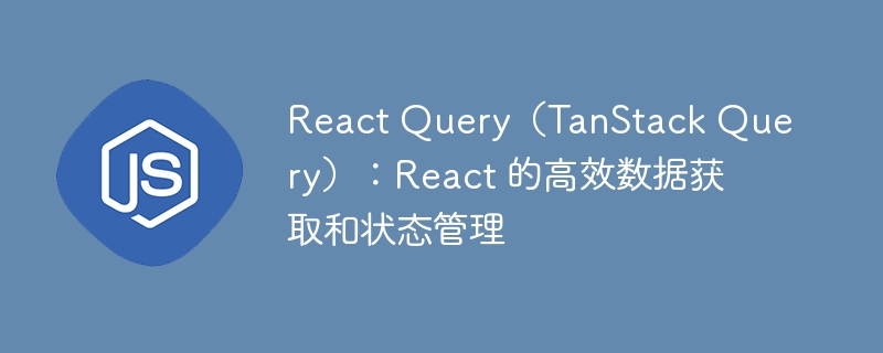react query(tanstack query):react 的高效数据获取和状态管理