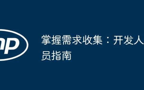掌握需求收集：开发人员指南