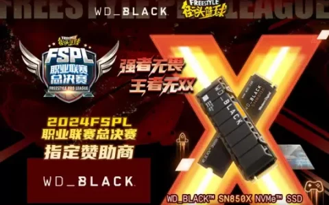 WD_BLACK硬核助力2024FSPL职业联赛总决赛