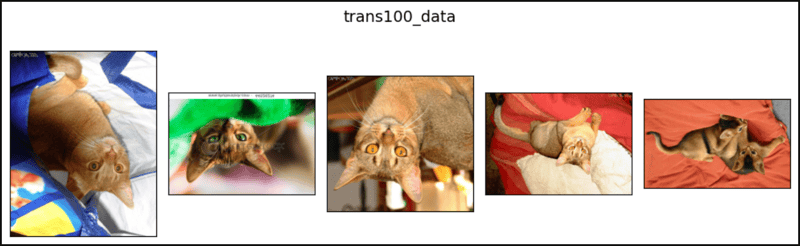 PyTorch 中的随机垂直翻转