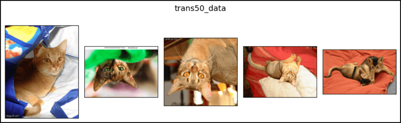 PyTorch 中的随机垂直翻转
