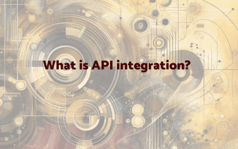 了解 API 集成