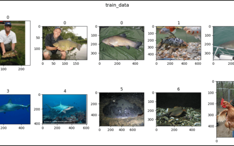 PyTorch 中的 ImageNet