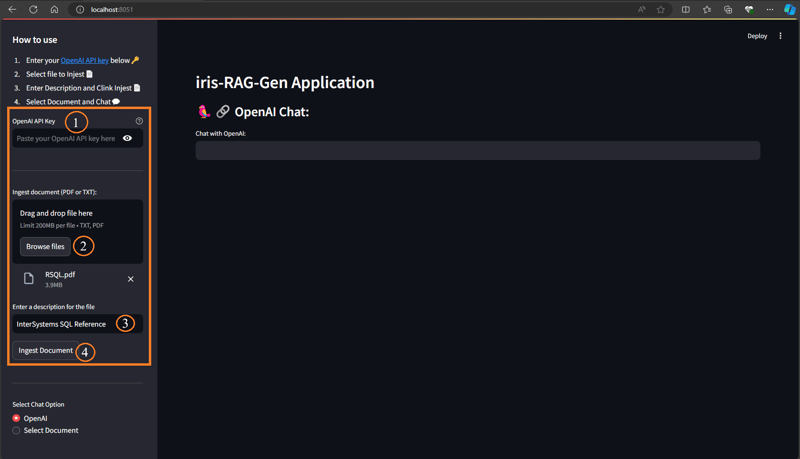 IRIS-RAG-Gen:由 IRIS 矢量搜索提供支持的个性化 ChatGPT RAG 应用程序
