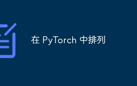 在 PyTorch 中排列