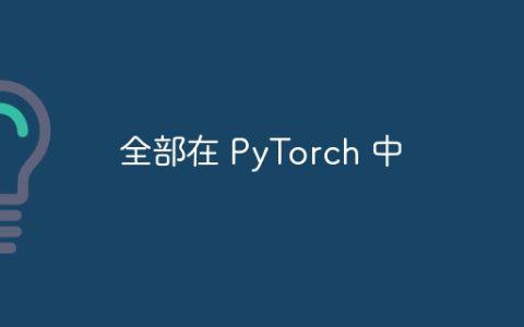全部在 PyTorch 中