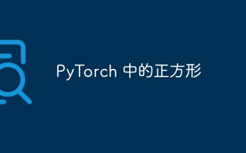 PyTorch 中的正方形