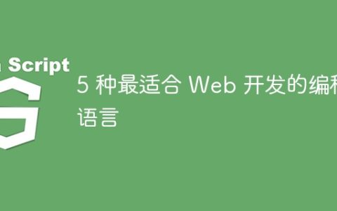 5 种最适合 Web 开发的编程语言