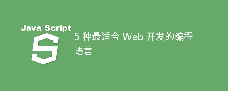 5 种最适合 web 开发的编程语言