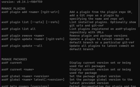 mise 与 asdf 用于 JavaScript 项目环境管理