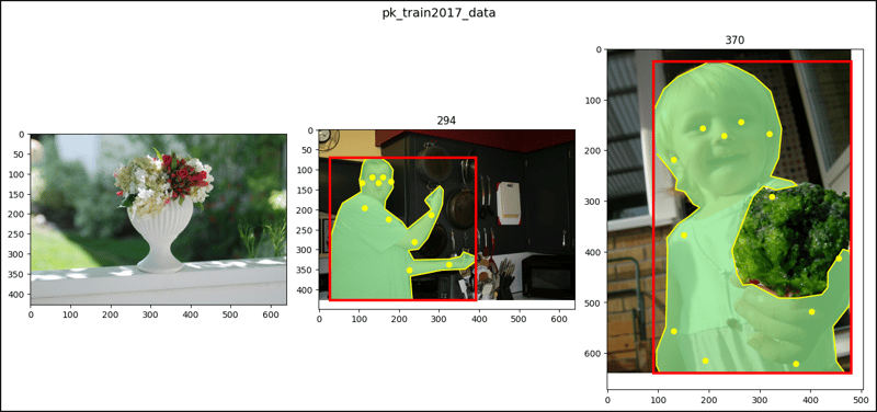 PyTorch 中的 CocoDetection(2)