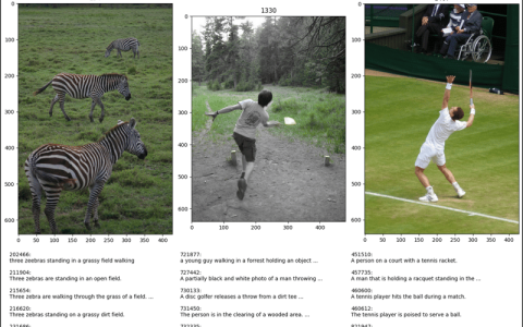 PyTorch 中的 CocoDetection (1)