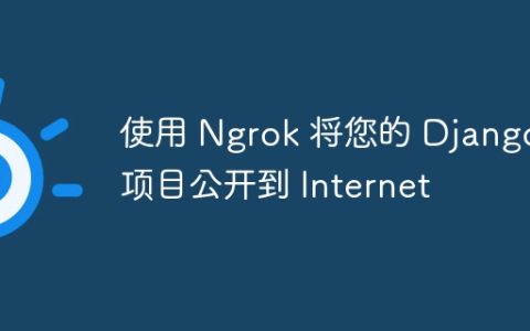 使用 Ngrok 将您的 Django 项目公开到 Internet