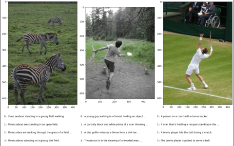 PyTorch 中的 CocoCaptions (1)