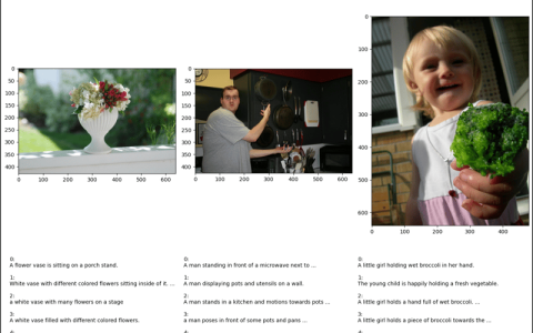 PyTorch 中的 CocoCaptions (2)