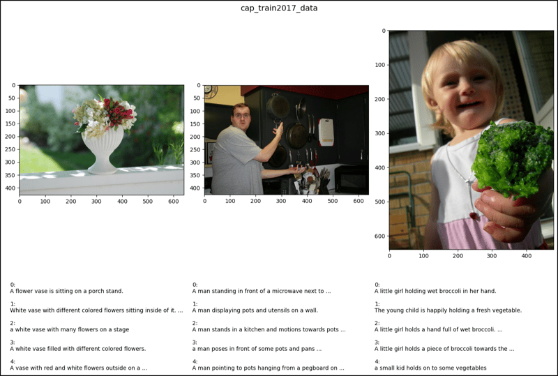 PyTorch 中的 CocoCaptions (2)