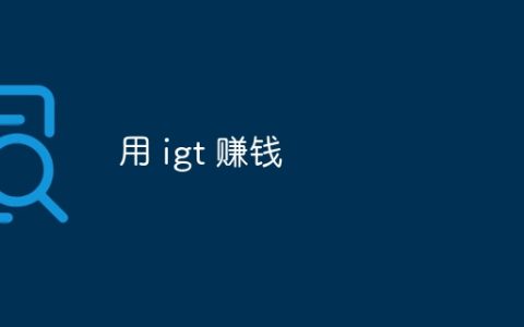 用 igt 赚钱