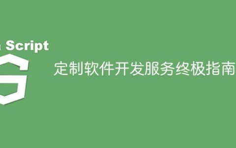 定制软件开发服务终极指南