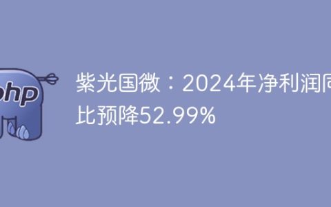 紫光国微：2024年净利润同比预降52.99%