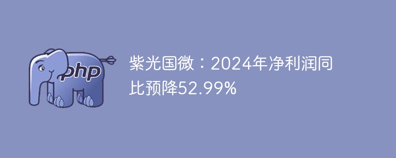 紫光国微:2024年净利润同比预降52.99%