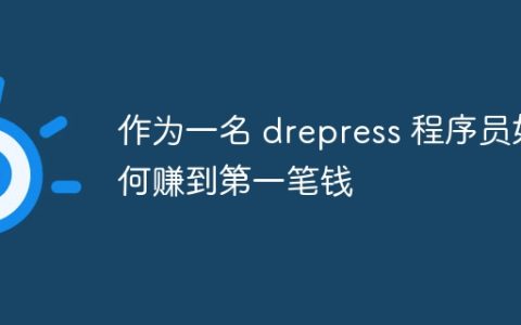 作为一名 drepress 程序员如何赚到第一笔钱