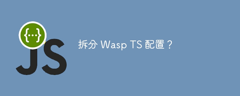 拆分 wasp ts 配置?