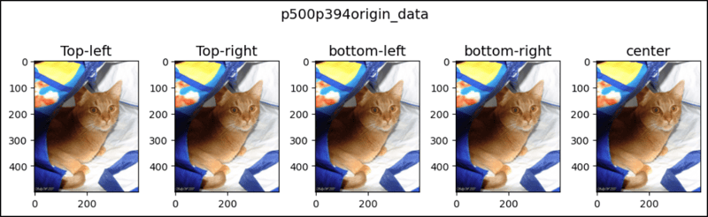 PyTorch 中的 FiveCrop