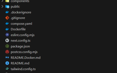 如何 Dockerize 您的 Nextjs 应用程序：分步指南