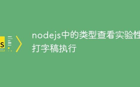 nodejs中的类型查看实验性打字稿执行
