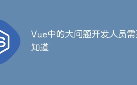 Vue中的大问题开发人员需要知道
