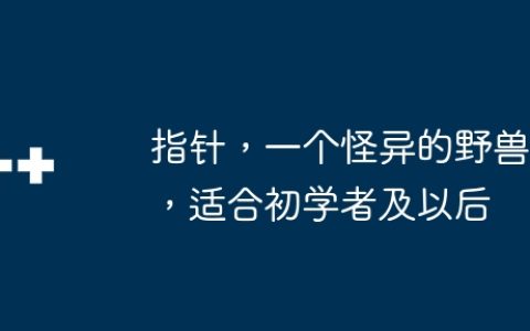 指针，一个怪异的野兽，适合初学者及以后