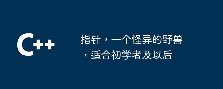 指针,一个怪异的野兽,适合初学者及以后