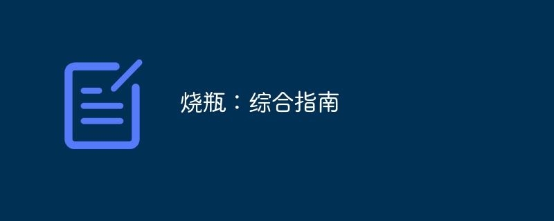 烧瓶:综合指南