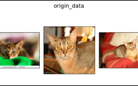 randomequalize in pytorch