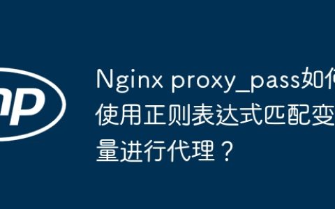 Nginx proxy_pass如何使用正则表达式匹配变量进行代理？