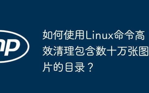 如何使用Linux命令高效清理包含数十万张图片的目录？