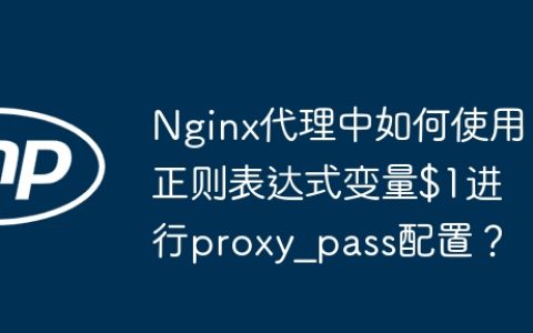 Nginx代理中如何使用正则表达式变量$1进行proxy_pass配置？