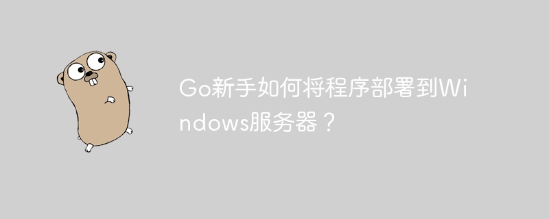 go新手如何将程序部署到windows服务器？
