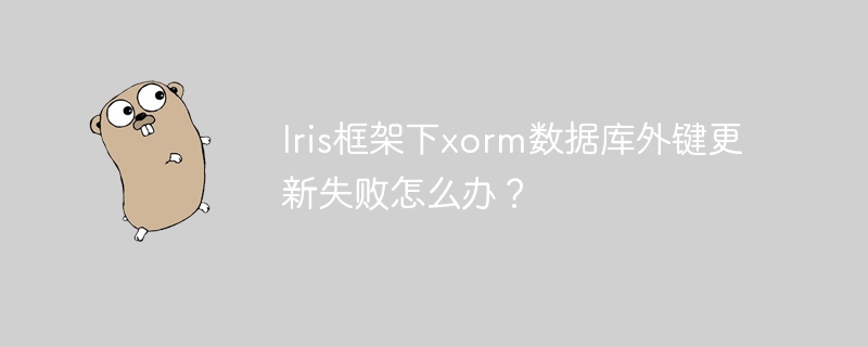 iris框架下xorm数据库外键更新失败怎么办?