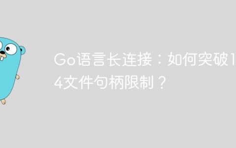 Go语言长连接：如何突破1024文件句柄限制？