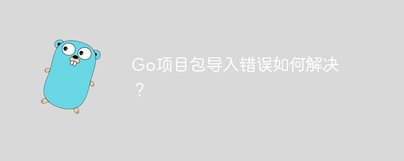 go项目包导入错误如何解决?
