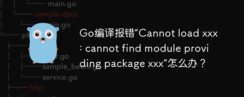 go编译报错“cannot load xxx: cannot find module providing package xxx”怎么办?