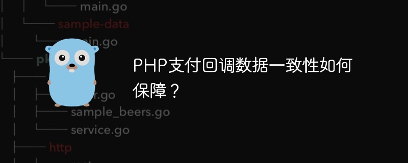 php支付回调数据一致性如何保障?