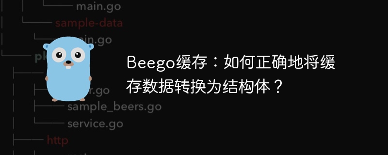 beego缓存:如何正确地将缓存数据转换为结构体?