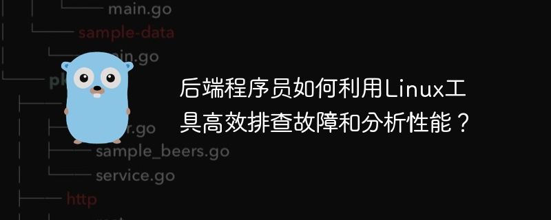 后端程序员如何利用linux工具高效排查故障和分析性能?